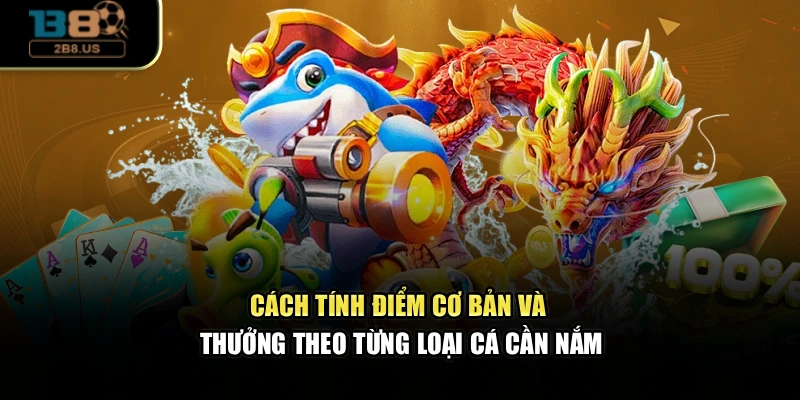 Cách tính điểm cơ bản và thưởng theo từng loại cá cần nắm