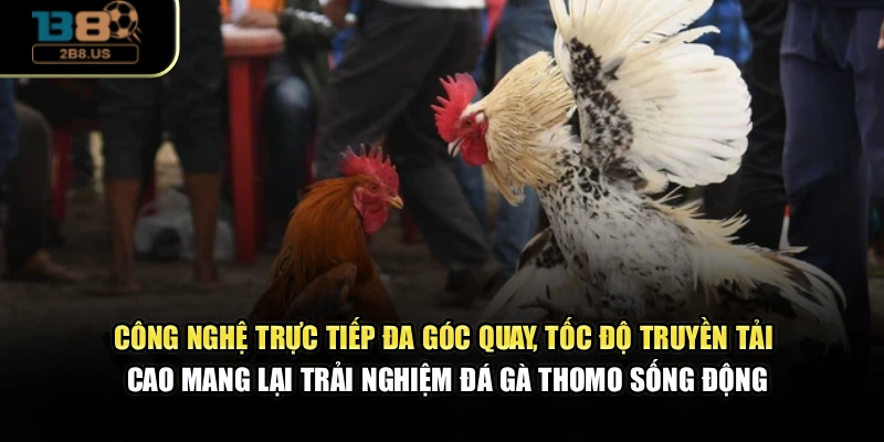 Công nghệ trực tiếp đa góc quay, tốc độ truyền tải cao mang lại trải nghiệm đá gà Thomo sống động