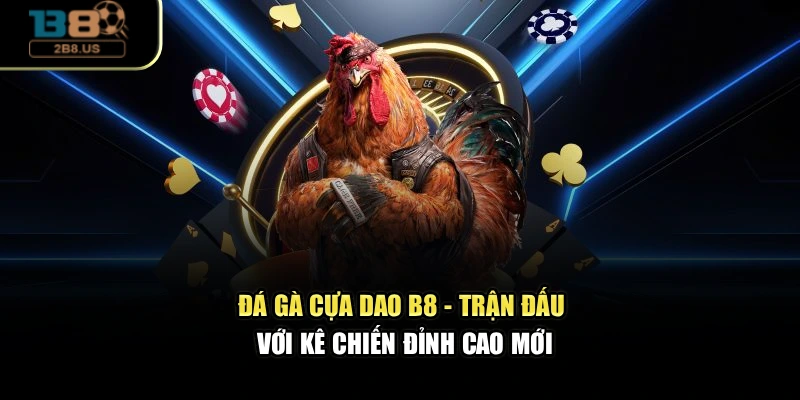 Đá Gà Cựa Dao B8 - Trận Đấu Với Kê Chiến Đỉnh Cao Mới