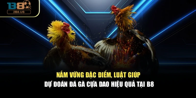 Nắm vững đặc điểm, luật giúp dự đoán đá gà cựa dao hiệu quả tại B8