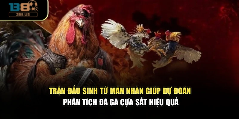 Trận đấu sinh tử mãn nhãn giúp dự đoán, phân tích đá gà cựa sắt hiệu quả